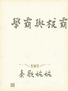 学霸与校霸