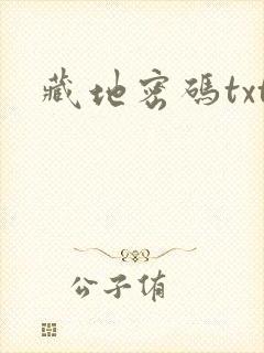 藏地密码txt封面
