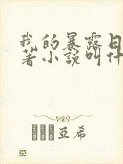 我的暴露日记原著小说叫什么