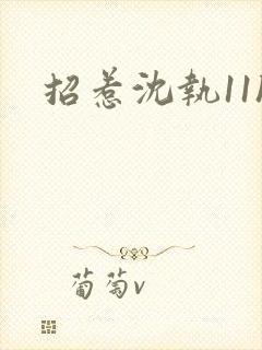 招惹沈执11h
