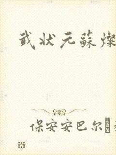 武状元苏灿