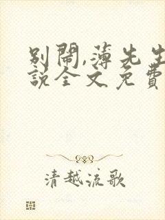 别闹,薄先生小说全文免费阅读封面