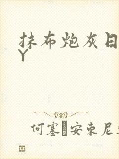 抹布炮灰日记BY封面