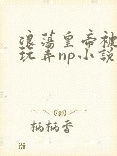浪荡皇帝被多人玩弄np小说