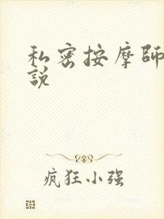 私密按摩师 小说封面