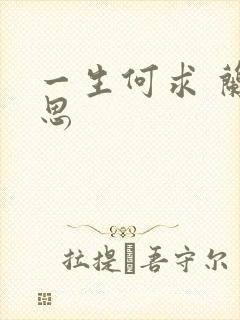 一生何求 兰思思封面