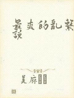 最爽的乱系列小说
