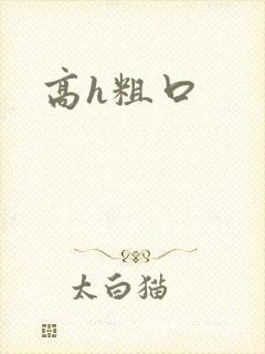 高h粗口