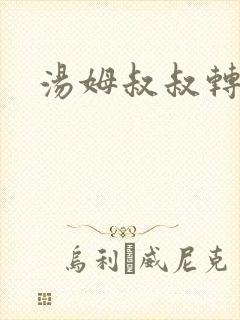 汤姆叔叔转接口
