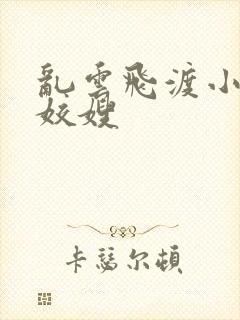 乱云飞渡小说之姣嫂