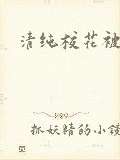 清纯校花被