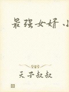 最强女婿 小说