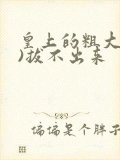 皇上的粗大(h)拔不出来封面