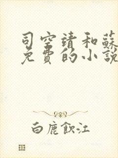 司空靖和苏月汐免费的小说笔趣阁