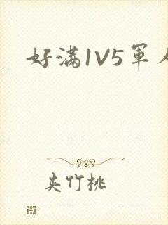 好满1V5军人封面