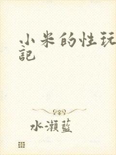 小米的性玩具日记