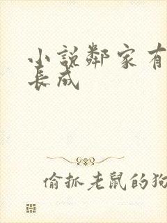 小说邻家有女初长成