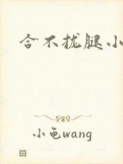 合不拢腿小说
