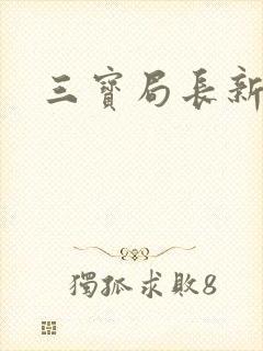 三宝局长新编封面