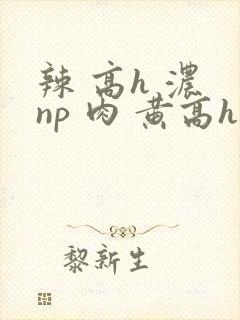 辣 高h 浓 np 肉 黄高h封面