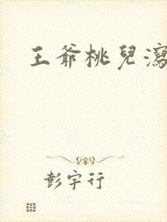 王爷桃儿泻了封面