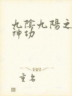 九阴九阳之阴阳神功封面