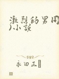 激烈的男同(h)小说