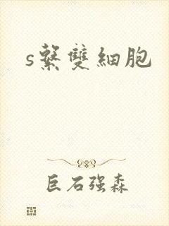 s系双细胞