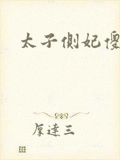 太子侧妃傻乎乎封面