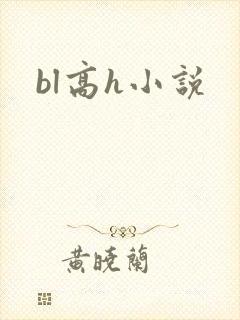 bl高h小说封面