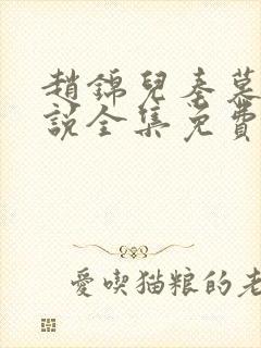 赵锦儿秦慕修小说全集免费