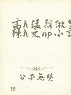 高h猛烈做哭高辣h文np小说