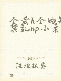 全黄h全肉短篇禁乱np小柔