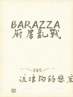 BARAZZA厨房乱战
