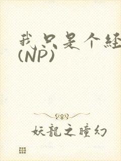 我只是个经纪人(NP)
