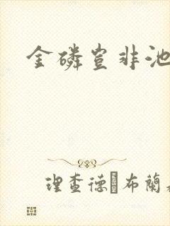 金磷岂非池中物封面