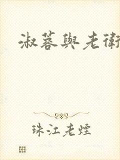 淑蓉与老卫封面