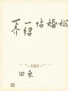 下一站婚姻剧情介绍