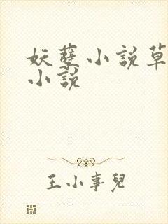 妖孽小说草莓酱小说