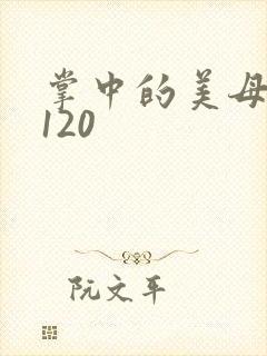 掌中的美母版主120封面
