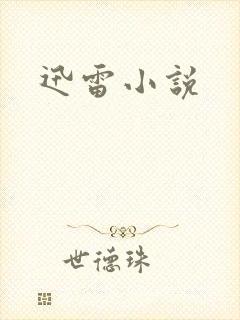 迅雷小说封面