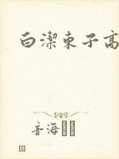 白洁东子高义封面
