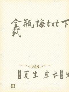 金瓶梅txt下载