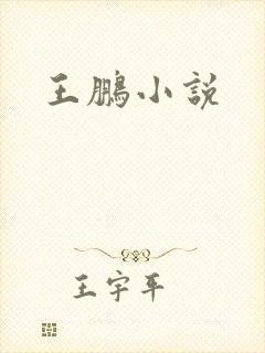 王鹏小说
