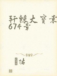 轩辕大宝袁雪妃674章