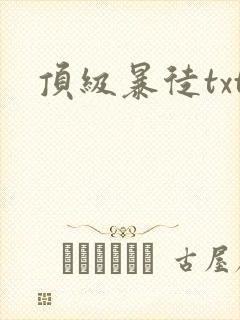顶级暴徒txt