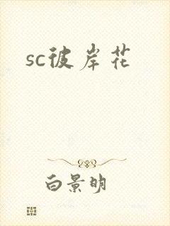 sc彼岸花封面