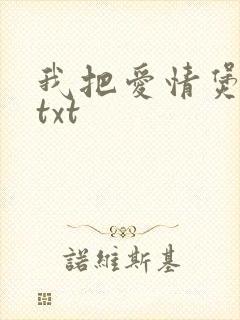 我把爱情煲成汤txt