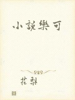 小说乐可