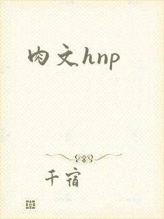 肉文hnp